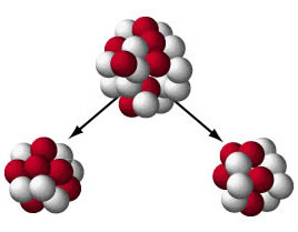 spontaneous fission